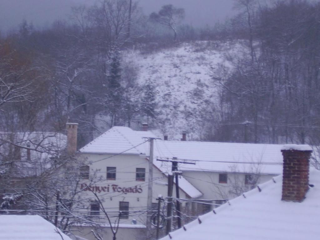 Benyei Fogado Panzio Es Etterem Bed & Breakfast Erdobenye Exterior photo